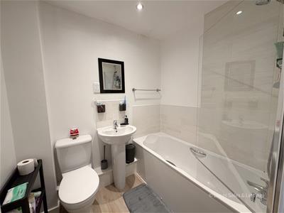 Picture 7